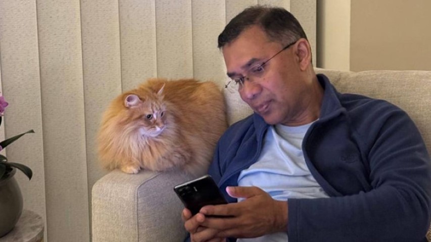 ‘বিড়ালটি আমার মেয়ের বিড়াল’